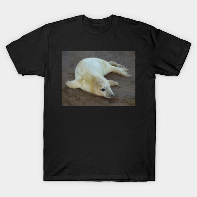 Baby Seal at Donna Nook UK T-Shirt by Juliejart